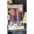 Gefrorene Tintenfisch ganzer Runde Sthenotehis Oualaniensis 2000g +